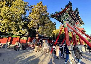 2023 11 PEKIN - PARC BEIHAI (32)